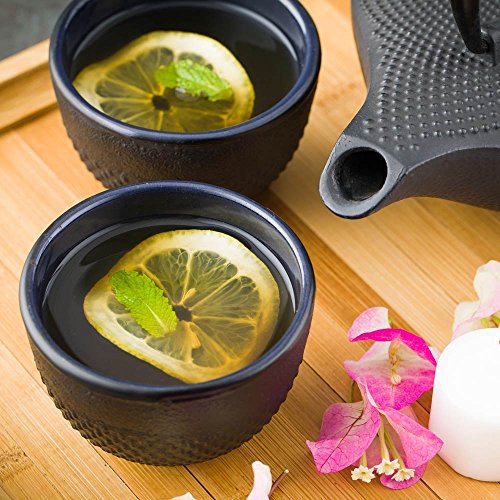 Restaurantware Cast Iron Tea Cups, Tetsubin Hobnail Black Cast Iron Tea Cups - 5 oz - 2ct Box -