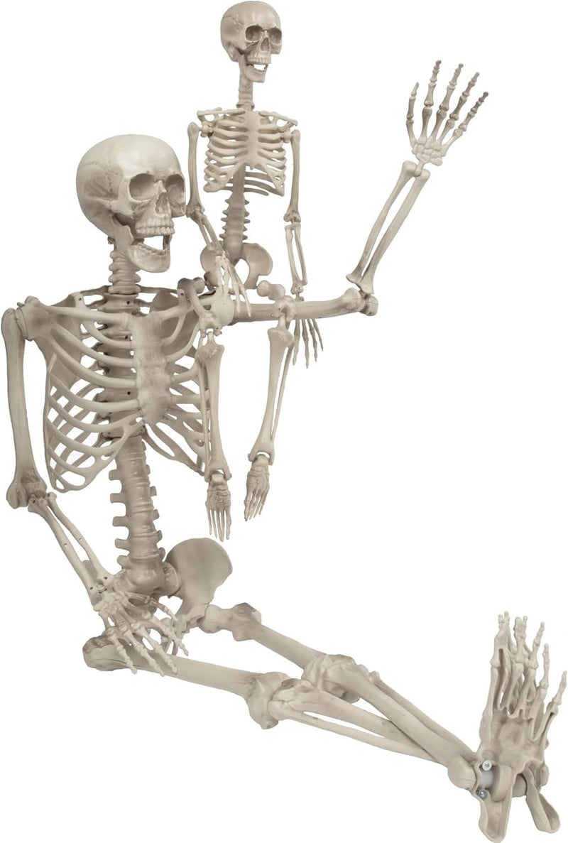 SLEEPHEAD Halloween Skeleton Decoration,Adult (36'') & Child (16'') Skeleton Value 2 Pack for for Halloween Party Yard Haunted House Props Indoor Outdoor Decor