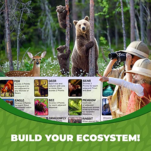 Genius Games Ecosystem - A Family Card Game About Animals, Their Habitats, And Biodiversity - Card Game For Kids 10+ And Adults - Family - Kids Board For Environmental Science Class - Fun Board
