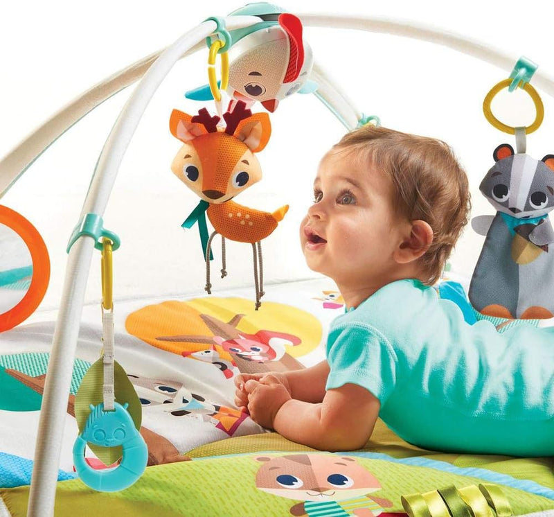 Tiny Love Gymini Deluxe Play Mat, 0 to 18 months, Princess Tales, Piece of 1