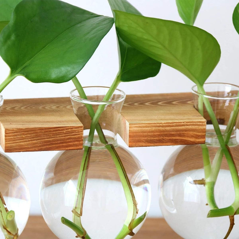 Benting Plants Propagation Stations with Wooden Stand, Glass Planter Tabletop Bulb Vase for Hydroponics Plants Home Office Decor-2 Vase