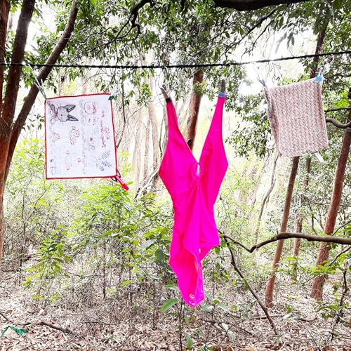 Retractable Portable Clothesline for Travel and Home, Tri-Braided Cord Clothes Line with 10 Windproof Clothes Clips, for Indoor Laundry Drying line,Outdoor Camping Hanger Accessories