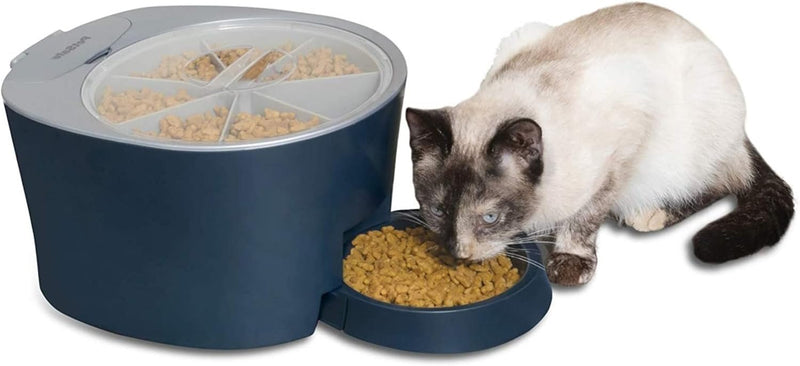 PetSafe 6 Meal Programmable Pet Food Dispenser, Automatic Dog and Cat Feeder ,Blue, (6 Cup/48 Ounce Capacity), 15.7x6.4x9.6 Inch (Pack of 1),PFD00-15956 - 6-Meal Feeder