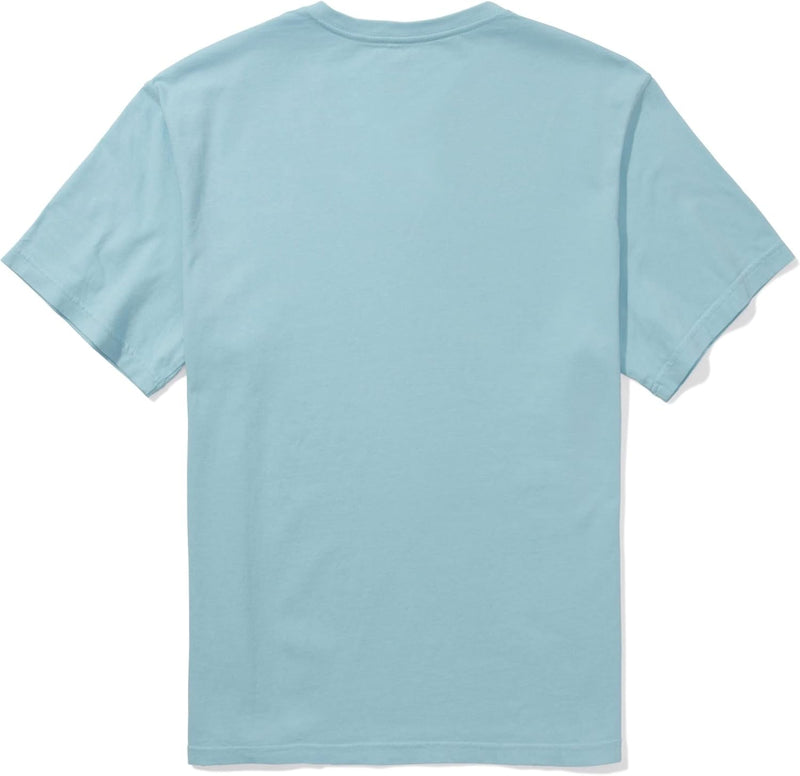 American Eagle Mens Short Sleeves Basic V-Neck T-Shirt T-Shirt (pack of 1)