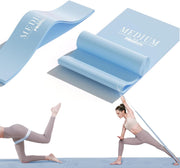 PROIRON 2 in 1 Resistance Bands Set - Includes Resistance Loop Bands, Physical Therapy Bands for Home Fitness, Stretching, Strength Training, Physical Therapy,Elastic Workout Bands for Whole Body - Resistance Loop Bands+Stretch Bands - Blue-2M(Latex)