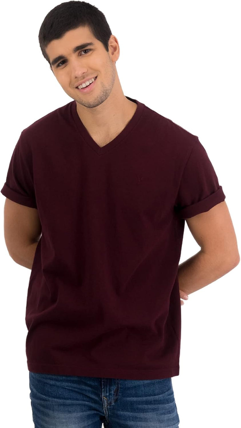 American Eagle Men's Super Soft Icon V-Neck T-Shirt
