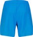 PUMA Men's Swim Men's Mid Shorts Swim Trunks