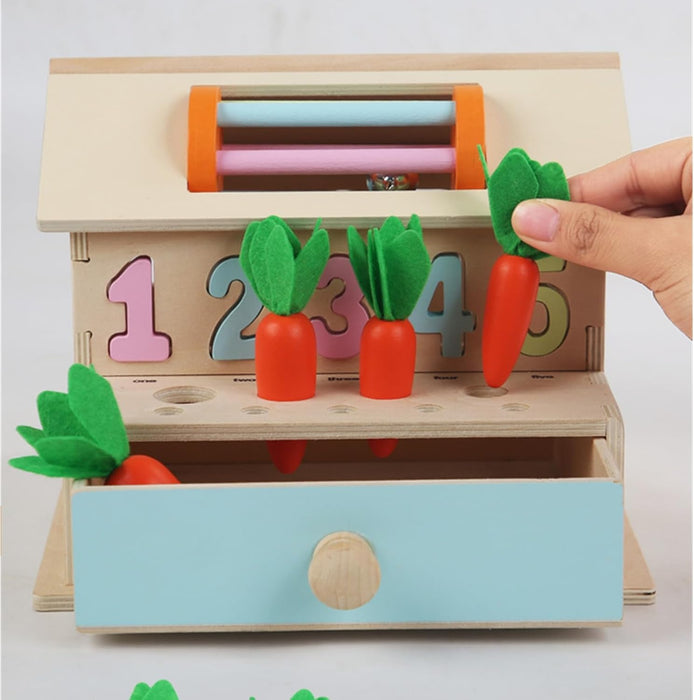 AM ANNA Montessori Toys for Babies 6-12 Months, Wooden Baby Toys, 5 in 1 Wooden Ball Drop Toy & Coin Box Montessori Toys for Babies, Wooden Toys for 1 + Year (5 IN 1)