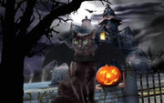 Mumoo Bear Cat Costume Halloween Bat Wings Pet Costumes Pet Apparel For Small Dogs And Cats