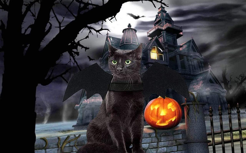 Mumoo Bear Cat Costume Halloween Bat Wings Pet Costumes Pet Apparel For Small Dogs And Cats