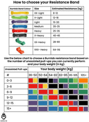 Burnlab Resistance Bands (Choose from 8 Different Sizes from 8Kg - 116Kg), Pull Up Assistance Bands for Exercise, Chin Ups, Powerlifting, Training, Gyms, Home Fitness - for Men and Women