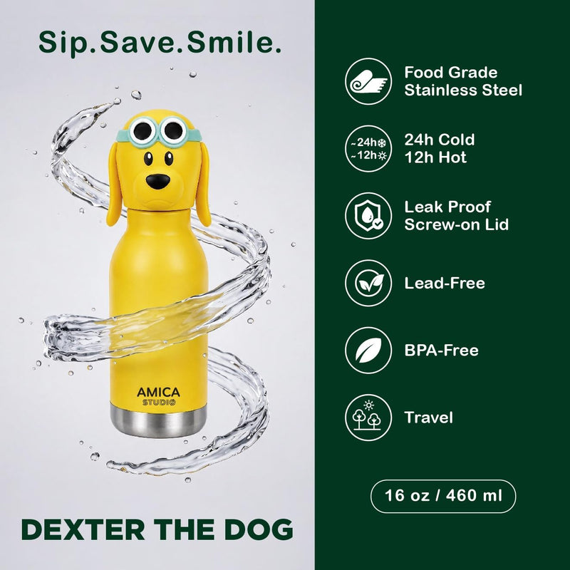 Kids Water Bottle 460ml Insulated Stainless Steel - AMICA STUDIO (Dexter Dog)