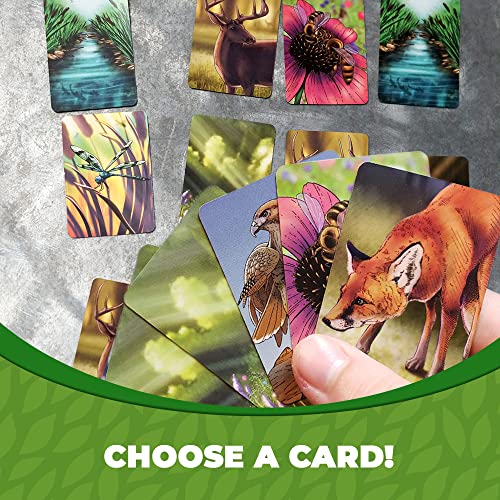 Genius Games Ecosystem - A Family Card Game About Animals, Their Habitats, And Biodiversity - Card Game For Kids 10+ And Adults - Family - Kids Board For Environmental Science Class - Fun Board