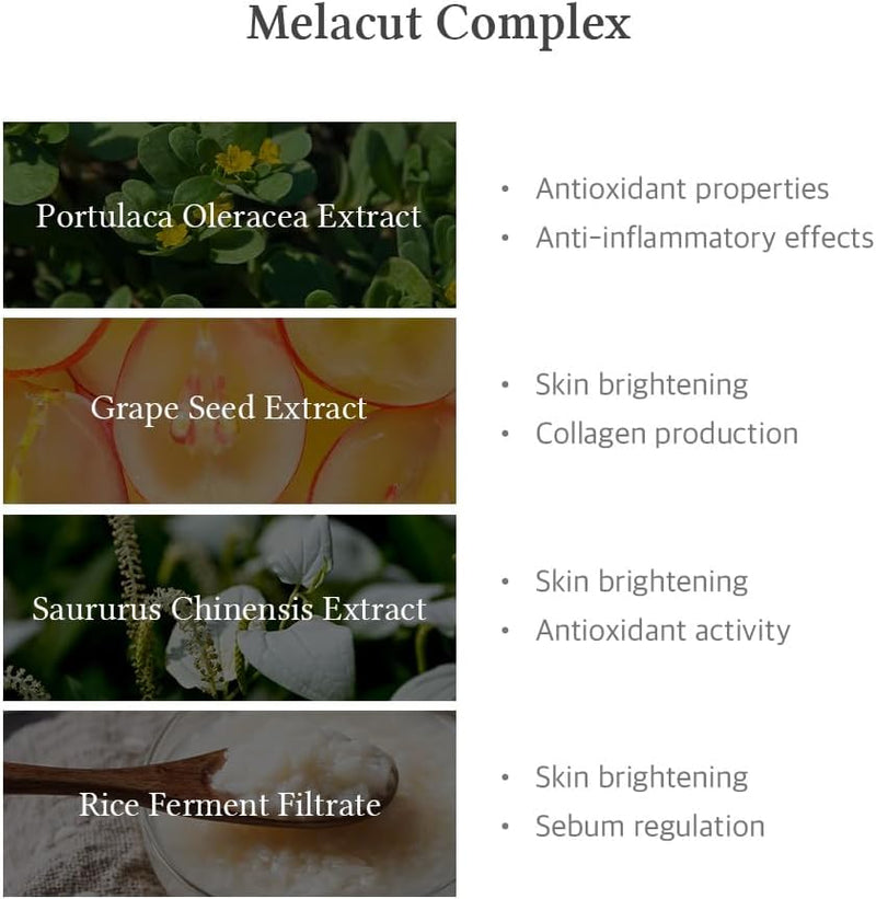 15% Niacinamide Purity Serum - 15% Niacinamide included, Overall skintone and texture improvement, Pore care, Serum control with Zinc. Vegan formula, Korean skincare