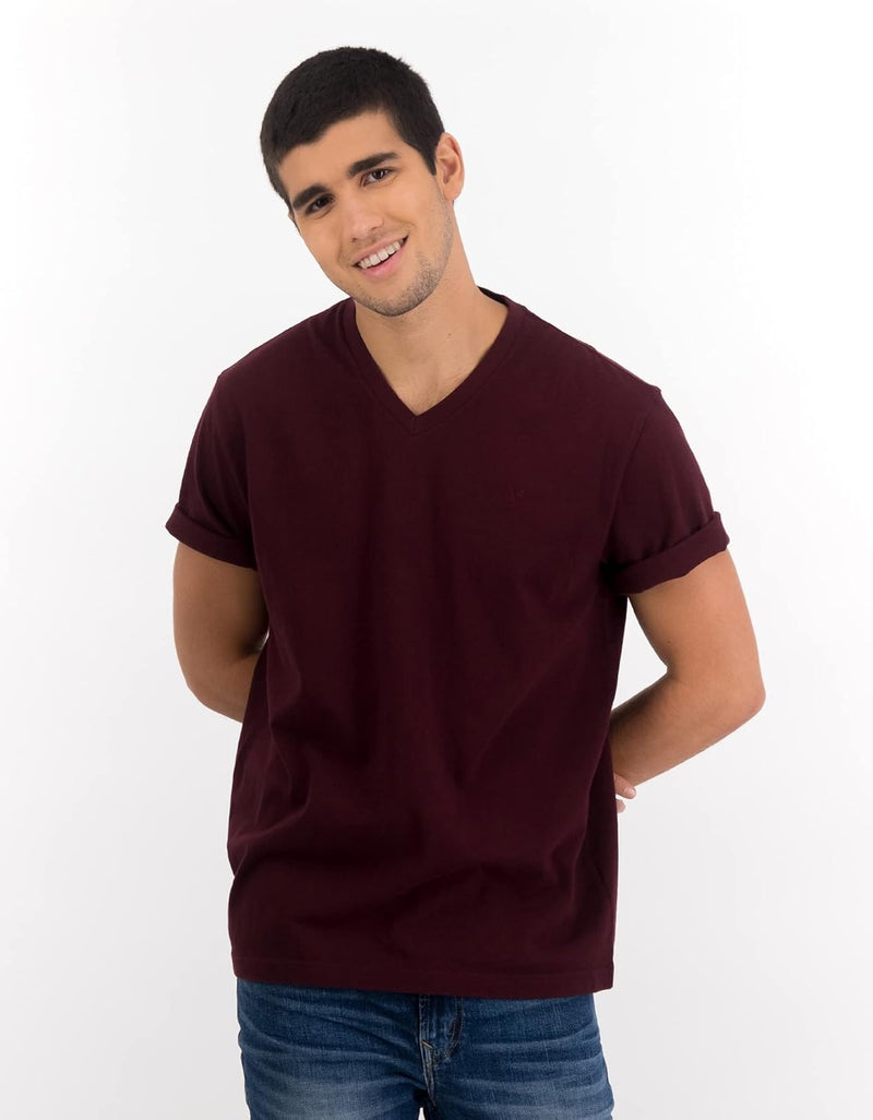 American Eagle Mens Super Soft Basic Icon V-Neck T-Shirt T-Shirt (pack of 1)