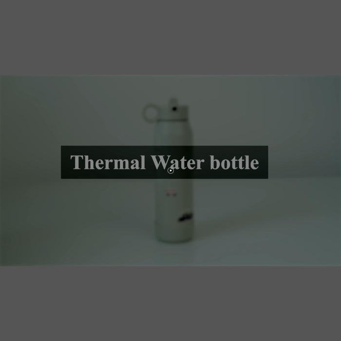 Stainless Steel 350ml Water Bottle loved by kids, Vehicles Print, Sturdy & Seamless, A Favorite for School Days & Adventures