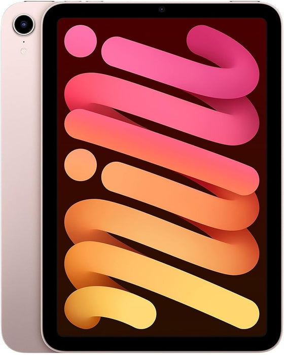 Apple 2021 iPad mini (8.3-inch, Wi-Fi + Cellular, 256GB) - Space Grey (6th Generation)