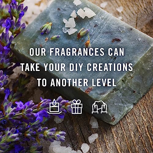 P&J Trading Gentlemen's Set of 6 Premium Grade Fragrance Oils - Leather, Sweet Tobacco, Teakwood, Bay Rum, Cedar, Sandalwood
