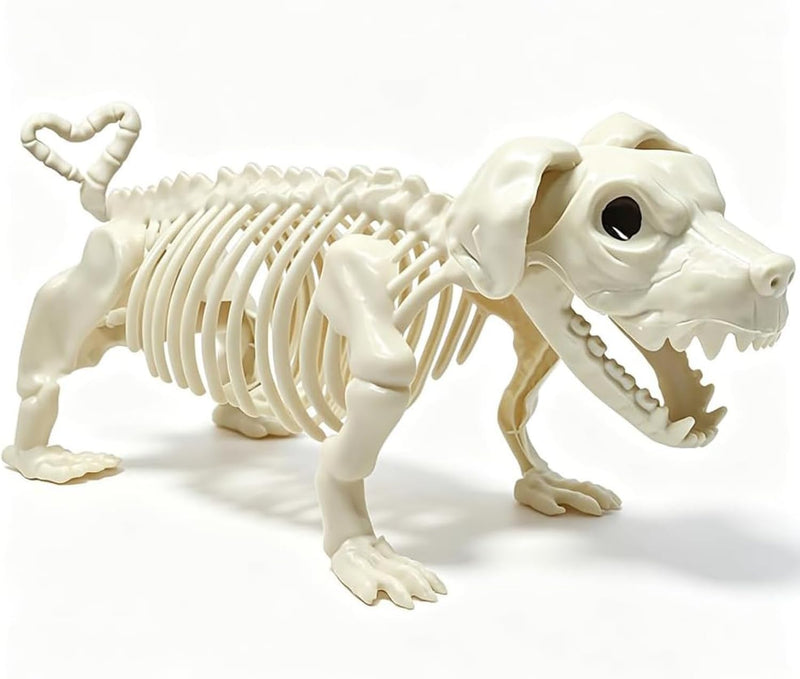 GGEROU Posable Full Body Halloween Skeleton with Movable Joint,Halloween Life Size Skeleton Weatherproof Human Bones Body Prop for Graveyard Decor,House Haunted (Hight5.4ft /165cm) - Dog