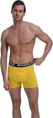 Box of 6 Premium Boxer Quinn 447 C