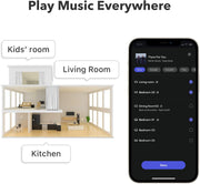 WiiM Pro Plus AirPlay 2 Receiver, Google Cast Audio, Multiroom Streamer with Premium AKM DAC, Voice Remote, Works with Alexa/Siri/Google, Stream Hi-Res Audio from Spotify, Amazon Music, Tidal and More