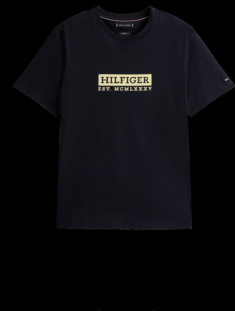 Tommy Hilfiger mens COLOUR TO COLOUR GRAPHIC TEE S/S T-Shirt