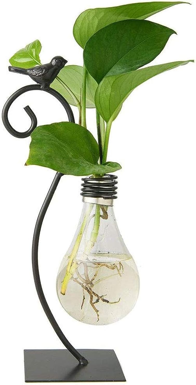 Desktop Glass Planter Hydroponics Vase,Planter Bulb Vase with Holder for Home Decoration,Modern Creative Bird Plant Terrarium Stand, Scindapsus Container