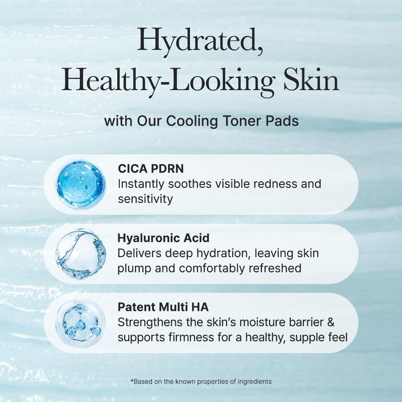 PDRN Hyaluronic Deep Hydration Toner Pads, 90 Count, 6.76 fl. oz, with 10 Types of Hyaluronic Acid for All Skin Types