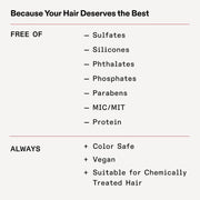 Wash and Shine Kit