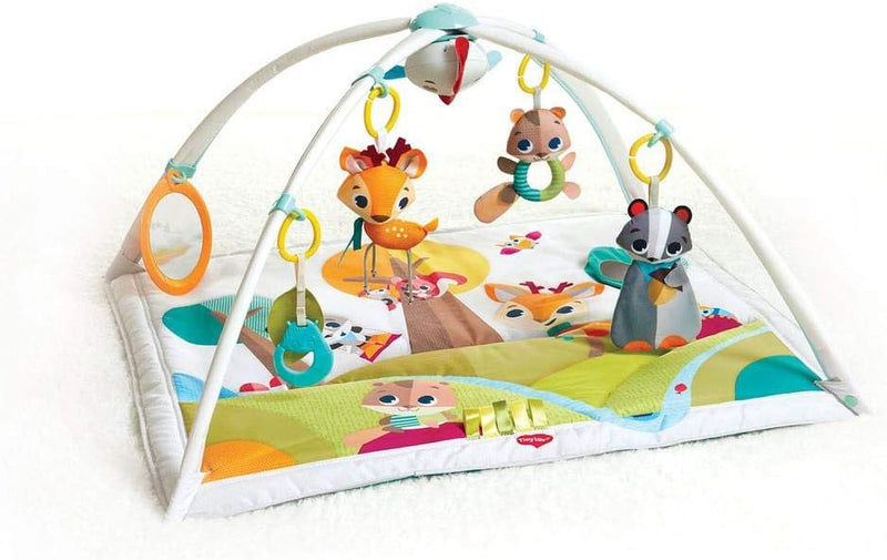 Tiny Love Gymini Deluxe Play Mat, 0 to 18 months, Princess Tales, Piece of 1