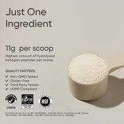Grass-Fed, Certified Paleo Friendly, Non-GMO and Gluten-Free Unflavored Collagen Peptides Powder (16 oz) pack may vary