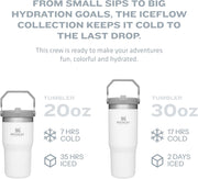 Stanley IceFlow Stainless Steel Tumbler with Straw - Vacuum Insulated Water Bottle for Home, Office or Car - Reusable Cup with Straw Leakproof Flip - Cold for 12 Hours or Iced for 2 Days