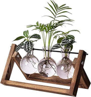 Kingbuy Glass Desktop Planter with Retro Wooden Stand and Plant Terrarium vase (2 Bulbs) for Indoor Office Desk Decor Accessories - 3 Bulb Vase