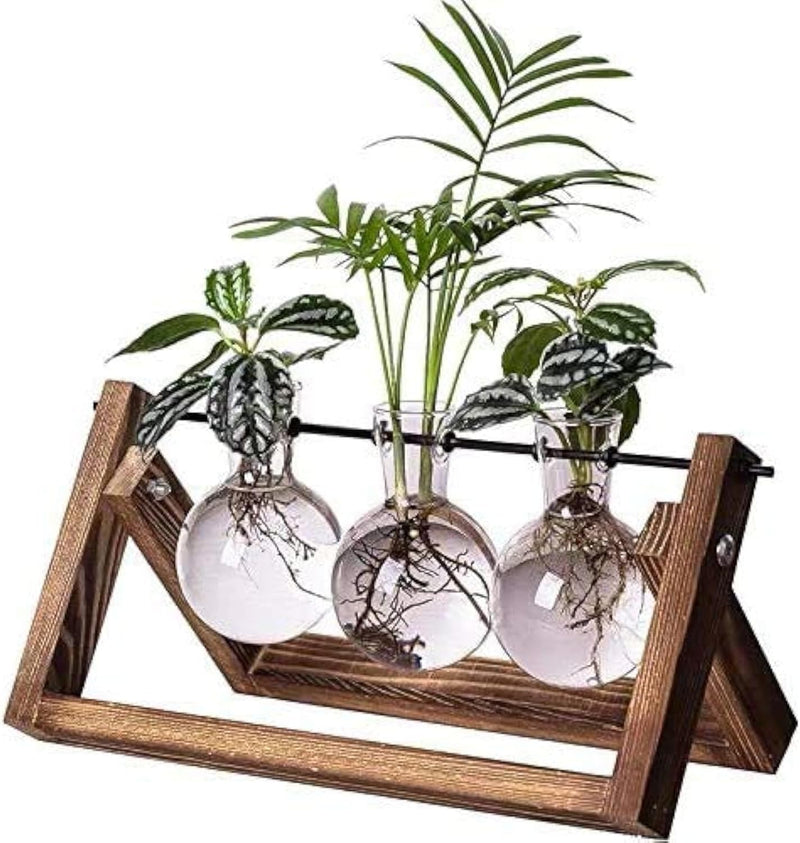 Kingbuy Glass Desktop Planter with Retro Wooden Stand and Plant Terrarium vase (2 Bulbs) for Indoor Office Desk Decor Accessories - 3 Bulb Vase