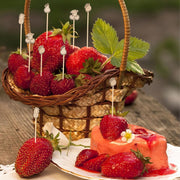 25 Pcs Fruit-Shaped Cocktail Picks 12 CM (4.7 Inch) Bamboo Appetizer & Drink Sticks Assorted Fruit Designs, Natural Wood, for Snacks & Drinks