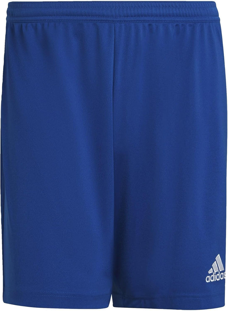 Men's Entrada 22 Shorts - Royblu