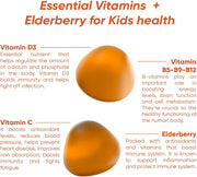 KIDS Sugar-free Vitamin Gummies High dose of Multivitamins: B-Vitamins C and D, Elderberry extract Supports childs growth & immunity Suitable for Kids (age 4+) 60 Vegan Gummies Peach flavor