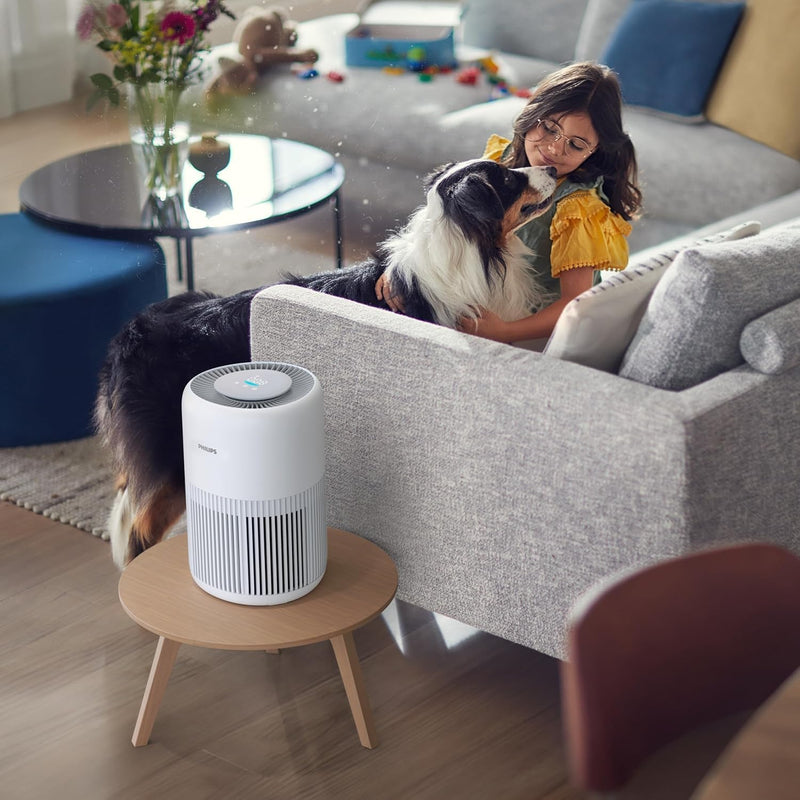 
Philips Air Purifier Mini 900 Series | Brand Air Purifier On Sale

