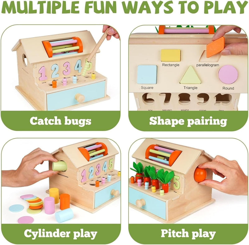 AM ANNA Montessori Toys for Babies 6-12 Months, Wooden Baby Toys, 5 in 1 Wooden Ball Drop Toy & Coin Box Montessori Toys for Babies, Wooden Toys for 1 + Year (5 IN 1)