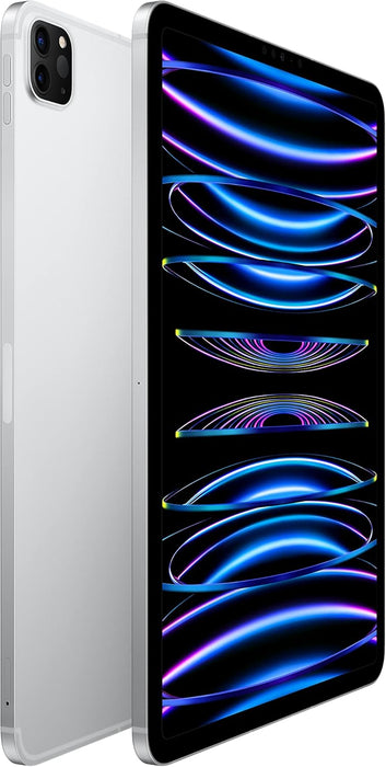 Apple 2022 11-inch iPad Pro (Wi-Fi + Cellular, 2TB) - Silver (4th generation)