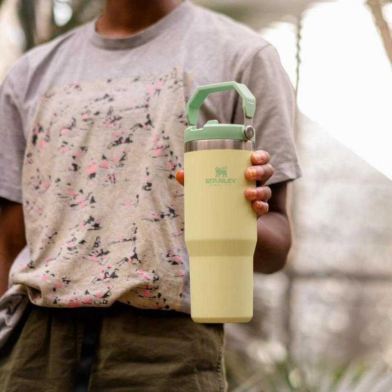 Stanley IceFlow Stainless Steel Tumbler with Straw - Vacuum Insulated Water Bottle for Home, Office or Car - Reusable Cup with Straw Leakproof Flip - Cold for 12 Hours or Iced for 2 Days