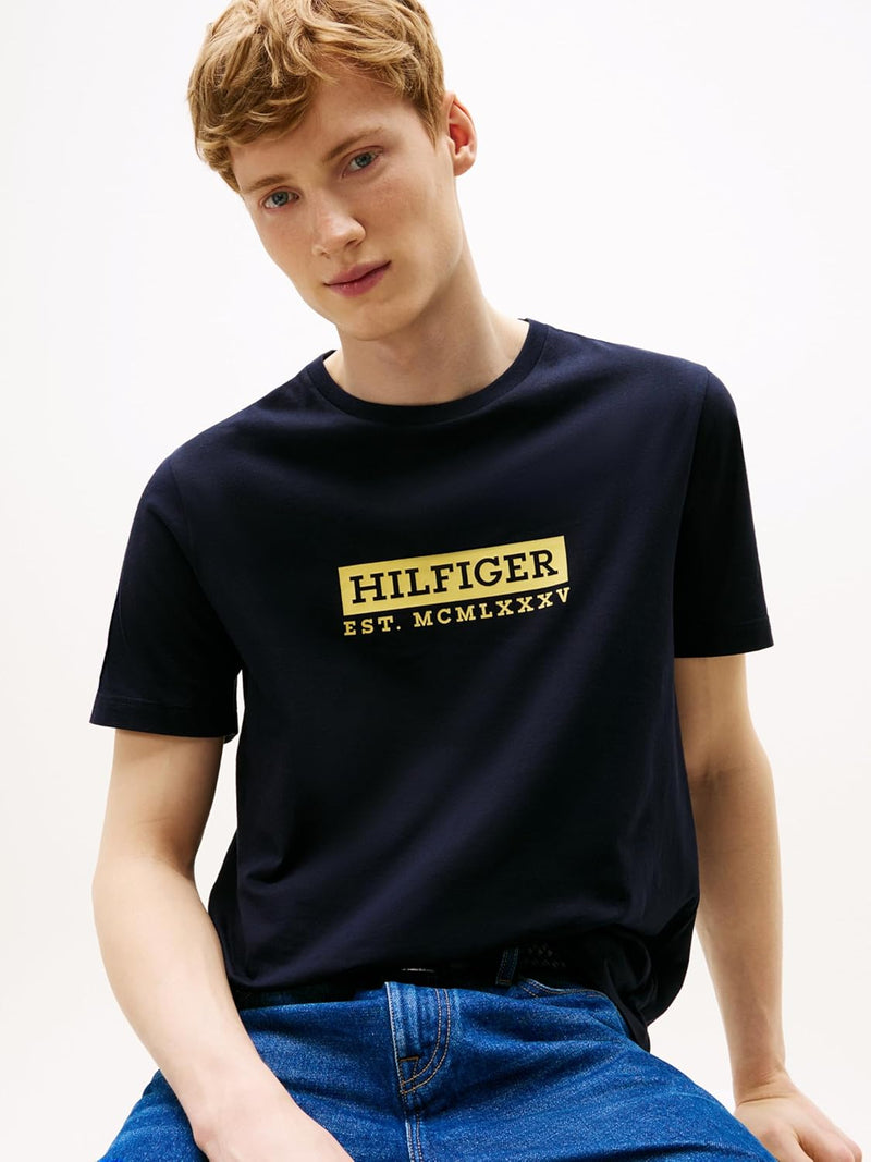 Tommy Hilfiger mens COLOUR TO COLOUR GRAPHIC TEE S/S T-Shirt