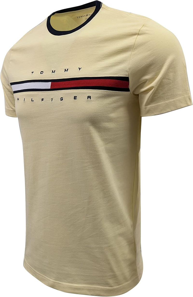 Tommy Hilfiger mens 1985 REGULAR Polo Shirt (pack of 1)