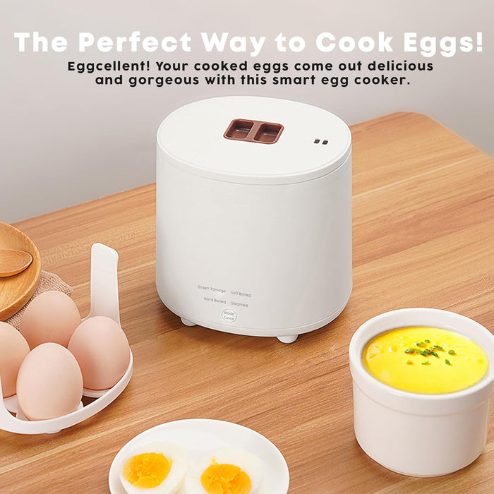 KASTWAVE Rapid Egg Cooker - Electric With Auto Shut Off and Alarm, Mini for Steamed, Hard Boiled, Soft Boiled Eggs and Onsen Tamago - Boiler for Home Kitchen