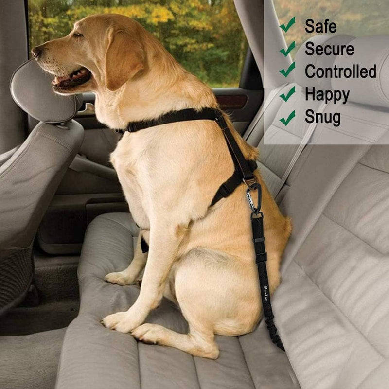 DELFINO Dog Safety Belt, Adjustable Dog Seat Belts for Car, Headrest Restraint Puppy Safety Adjustable Dog Car Seatbelts and Strong Leash Leads Accessories for Dogs Cats Pets, Black