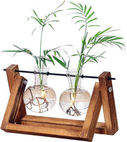 Kingbuy Glass Desktop Planter with Retro Wooden Stand and Plant Terrarium vase (2 Bulbs) for Indoor Office Desk Decor Accessories - 2 Bulb Vase