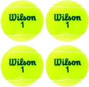 Wilson Champ Extra Duty Tennis Balls - 4 Championship Extra Duty