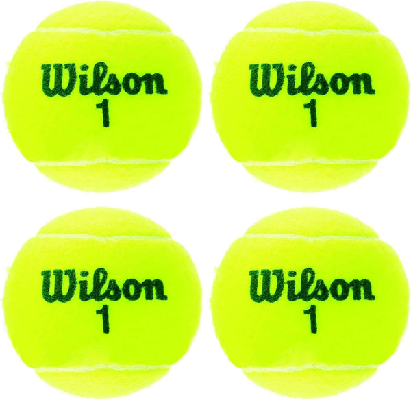 Wilson Champ Extra Duty Tennis Balls