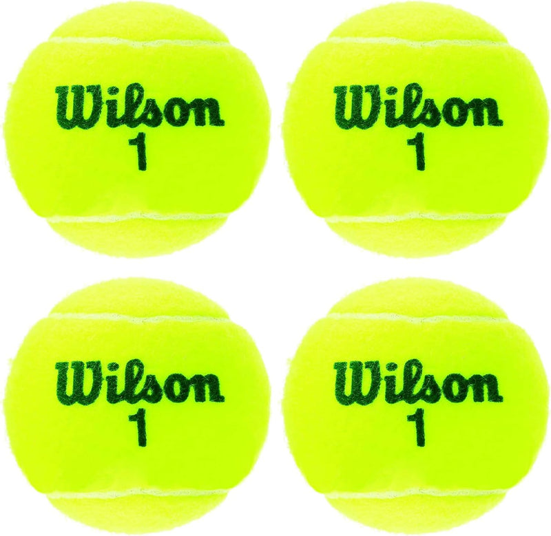 Wilson Champ Extra Duty Tennis Balls - 4 Championship Extra Duty