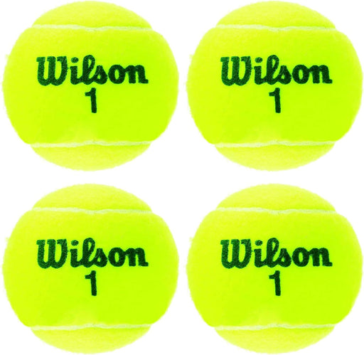 Wilson Champ Extra Duty Tennis Balls - 4 Championship Extra Duty